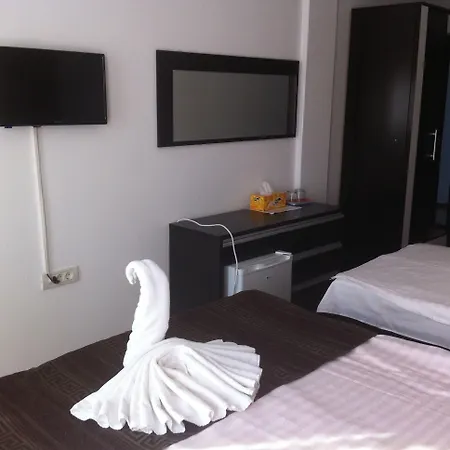 Solea 3*